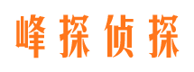 府谷市场调查